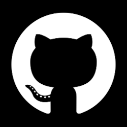 Github Privacy Policy Score